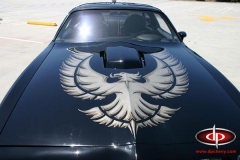 dp_custom_built_cars_265